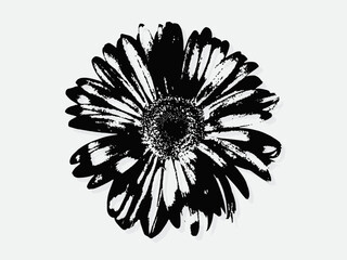 Flower engraving vector illustration. Scratch board style imitation. Black and white hand drawn image. llustrations for poster, background or card.
