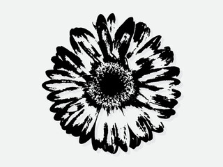 Flower engraving vector illustration. Scratch board style imitation. Black and white hand drawn image. llustrations for poster, background or card.