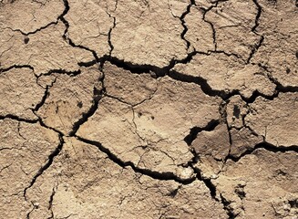 Trockenheit