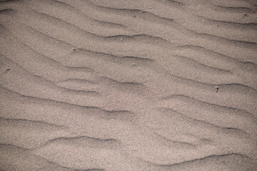 Fototapeta na wymiar Close-up of sand in the desert, waves on the sand from the wind. No one.