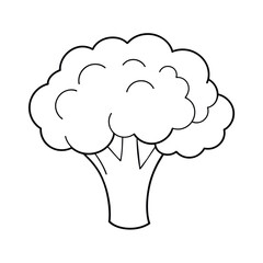 Vector of broccoli illustration coloring page for kids