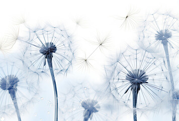 Dandelions Blowing in the Wind