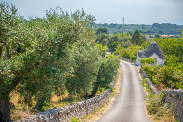 Road to Puglia. Street between olive trees and Trulli typical houses - 745718087