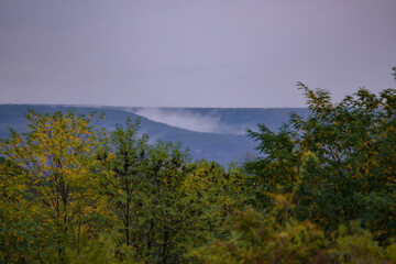 Obraz premium Evening landscape with fog rising above the green forest that will change in the autumn season