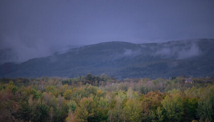 Evening landscape with fog rising above the green forest that will change in the autumn season