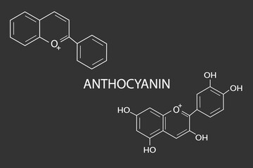 Fototapeta premium anthocyanin molecular skeletal chemical formula