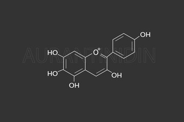 Fototapeta premium Auratinidin molecular skeletal chemical formula