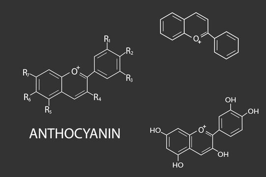 anthocyanin molecular skeletal chemical formula