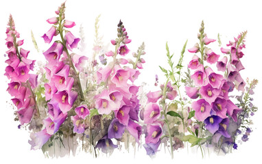 Enchanting Garden Background Featuring Tall Stems Isolated on Transparent Background PNG.