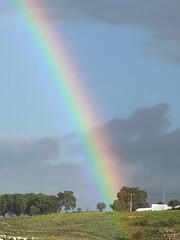 Regenbogen