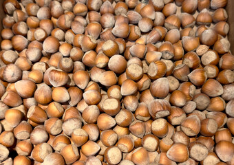 pile of harvest hazelnuts nut health food