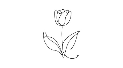 Tulip flower line art. Minimalist contour drawing. One line artwork