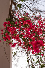 puerto de mogan gran canaria the canary islands spain landscapes town travel sightseeing