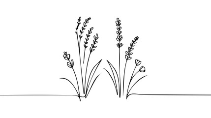 Single continuous line drawing of beauty fresh lavandula for garden logo. © artisttop