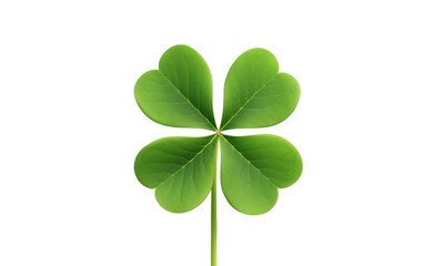 Close-up of a Four-Leaf Clover, a Symbol of Good Luck Isolated on Transparent Background PNG.
