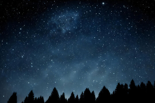 The starry sky above the forest