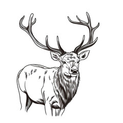 Naklejka premium A simple logo black and white vector silhouette Deer cartoon, humourous, fine lines, white background сreated with Generative Ai