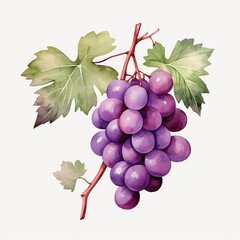 Fototapeta premium watercolor grape clipart for graphic resources сreated with Generative Ai