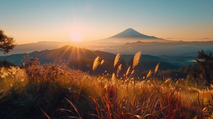 Fuji yama photo landscape at golden hour with gry grass field and some trees at foreground