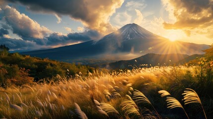 Fujiyama fujisan photo landscape at golden hour with gry grass field and some trees at foreground