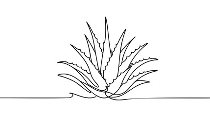 One single line drawing of healthy organic green aloe vera for farm logo identity.