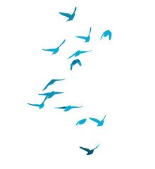 A flock of blue watercolor flying birds. hand drawing. Not AI, Free birds abstraction. Vector illustration