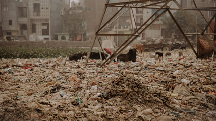 smog and garbage in india