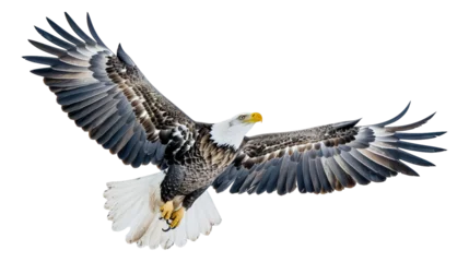 Schilderijen op glas eagle in flight © Anthony