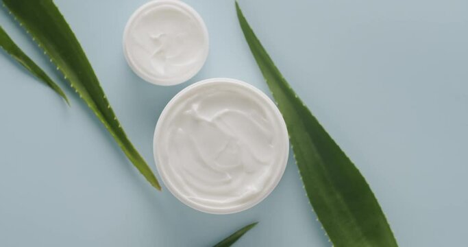 Top view on spinning open jar with cream for face and aloe vera leaves on blue background. Beauty and skin care concept. Advertising of natural moisturizer