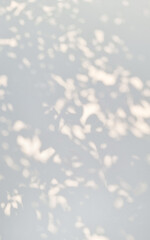 abstract gray shadow background of natural leaves falling on white curtain background in vertical...