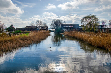 Fototapeta premium The very beginning of the Rotte river, 20 km north of Rotterdam, on a sunny day in late winter