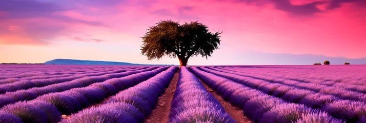 Wandaufkleber Wonderful lavender fields in pastel and soothing colors . Generative Ai © Лилия Захарчук