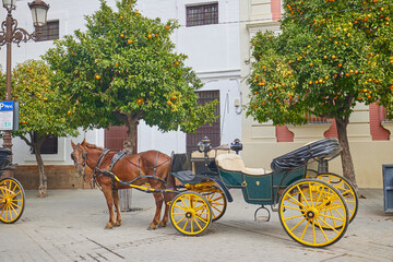 Traditional horse carriage in Seville, Andalusia, Spain