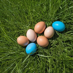 Fototapeta na wymiar photo of a easter eggs in grass