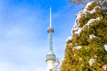 Obraz premium The Tashkent TV Tower view with a fir tree in the front. Selective focus on a TV Tower. Standing at a height of 375 meters, this iconic tower is situated in the city of Tashkent, Uzbekistan.
