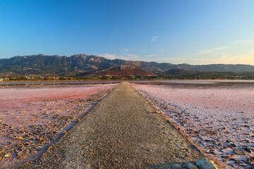 Path into a pink salt lake