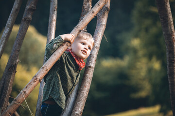Little Cute Blond Boy in Nature between Wooden Logs - 745787038