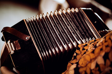 Playing the accordion. Close up.  - obrazy, fototapety, plakaty