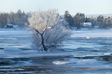 River landscape with frost and snow in a cold morning. Farnebofjarden national park in north of Sweden. - 745790408