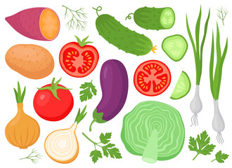 Various fresh vegetables and plants. Garden. Harvest. Potato, sweet potato, cabbage, tomato, cucumber, eggplant, onion, parsley. 