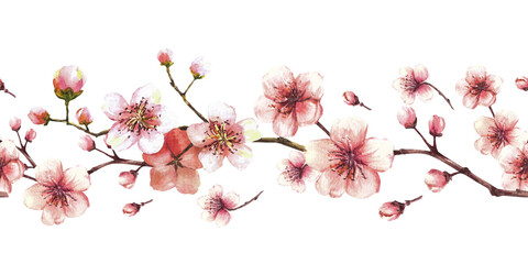 Blossoming branch from tree, sakura, cherry or apple buds and flowers seamless border, pattern. Spring blossoms, springtime watercolor clipart. Hand drawn isolated illustration on white background - obrazy, fototapety, plakaty