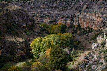 Fototapeta na wymiar meander, Las Hoces del Río Duratón Natural Park, Segovia province, Spain