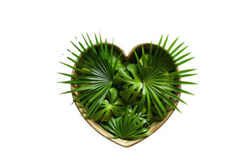 Heart shaped palmetto isolated on transparent background.