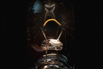 tungsten filament in a glass bulb. Classic car bulb, close up view. Accessories and spare parts for vehicles. Electric elements, light identification. dark background