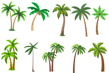 palm trees on white background - obrazy, fototapety, plakaty