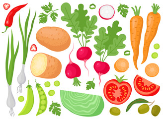 Various fresh vegetables and plants. Garden. Harvest. Potato, carrot, radish, cabbage, tomato, peas, olives, green onion, chilli pepper. 
