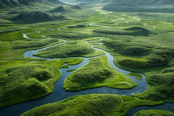 Gordijnen Vast landscape of Arctic moss, with intricate textures and a palette of greens and browns © AW AI ART