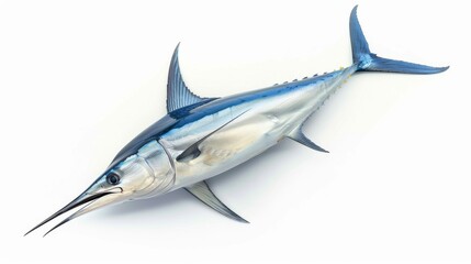 Obraz premium Isolated Marlin on White Background, A solitary marlin fish, beautifully detailed and vibrant, displayed against a clean white backdrop.