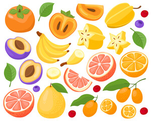 Various tropical fruits on a white background. 
Banana, carambola, grapefruit, pomelo, kumquat, orange, plum, persimmon, berries. Fruits and slices, summer illustration.