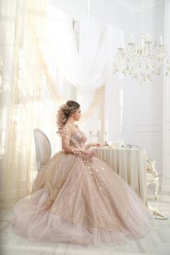 Beautiful girl bride in an elegant dress in an elegant interior.